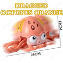  Dragged Octopus Oran